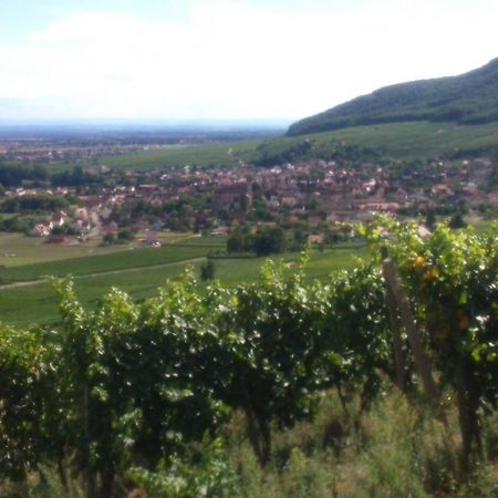 Gites & Chambes D'Hotes Fugler Orschwihr Экстерьер фото