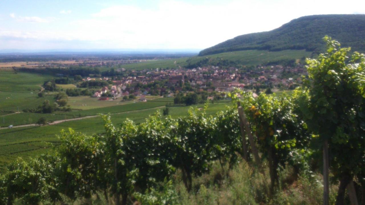 Gites & Chambes D'Hotes Fugler Orschwihr Экстерьер фото
